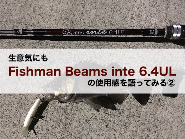 生意気にも Fishman Beams inte 6.4ULの使用感を語ってみる② | DIY系